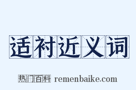 适衬近义词是什么意思的图片